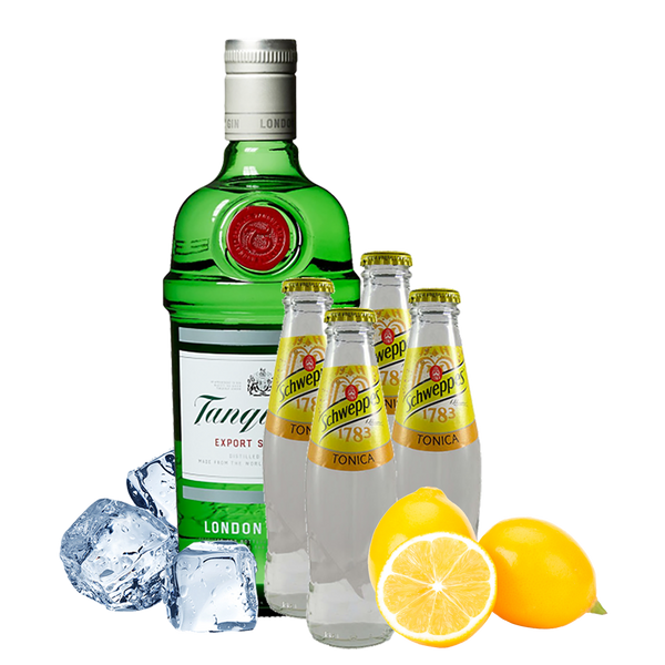 Gin Tanqueray Tonic Box - Consegna cibo in veneto - Degustalo | Drink At Home